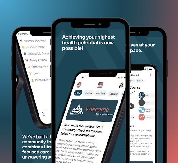 limitless-app-image